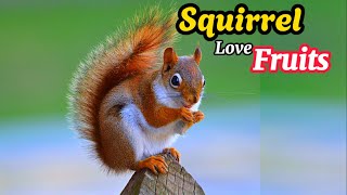 Squirrel love fruits #squirrel #squirrellovers #squirrels #animal #animallover