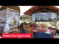 Simba + Oryx Nature Camp || Maasai Mara || Birthday vacation.