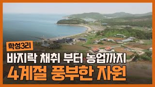 [귀농추천지역] 농·어업 꿈 꾸는 당신에게 추천! 보령 학성 3리마을 │귀농귀촌 로컬라이프