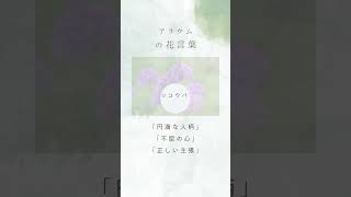 【５月１６日】誕生花