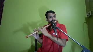 pankh hote toh ud aati re (flute cover) pankh hote toh ud aati re (flute cover)