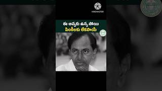 ఇందిరమ్మ ఇల్లు కావాలి సార్..? #trending #youtube #shorts