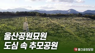 울산공원묘원 :: 역시 울산공원묘원인 이유