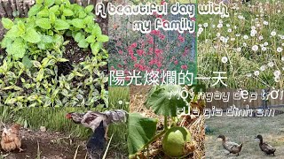 Binhluong Seattle//Beautiful day with my family/陽光燦爛的一天/Một ngày đẹp trời của gia đình em