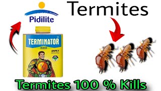 दीमक का तेल  || Termite Treatment 100% Sure