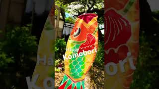 Happy Koinobori - 鯉幟