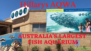 Hillarys AQWA | Fish Aquarium