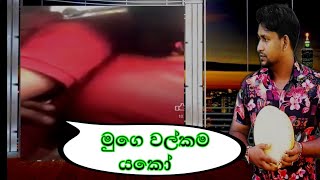 මෙහෙමත් වල් කොල්ලෝ 😮😒 Danu viridu  2023 new sinhala songs music videos