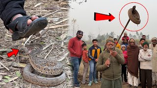 आज से पहले कभी नहीं देखा होगा ऐसा खतरनाक दृश्य तो आज देख लो😱Snake Guru Praveen