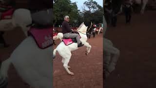 70 years old rides the horse like a pro