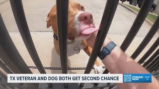 Veteran and his dog find new beginning after emotional surrender