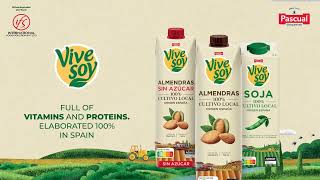 Vivesoy Almond and Soya Milk