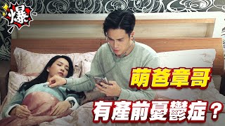 《多情大爆爆》多情城市 EP318 萌爸章哥 有產前憂鬱症？