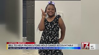 North Carolina bill seeks to help prosecutors hold gangs accountable