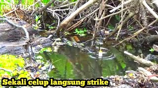 Fishing at the Dead River Spot. One throw strikes for big fish