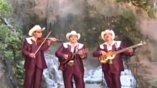 Los Auténticos de Hidalgo - El baile del compadre