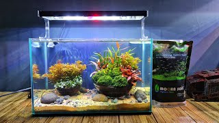 #285 Membuat Aquascape dimangkok