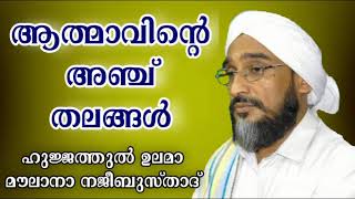 റൂഹിന്‍റ അഞ്ച് തലങ്ങള്‍ | മൗലാനാ നജീബ് മൗലവി