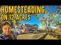 Homesteading 12 Acre Farm Tour with Ponds and Barn, Creek + Land for Sale in Kentucky