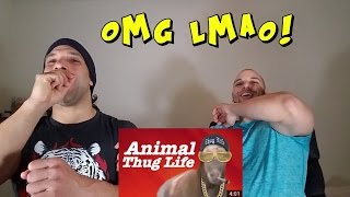 ANIMAL THUG LIFE [REACTION]