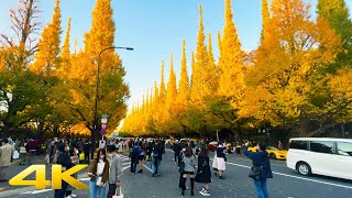 🇯🇵 From Omotesando to Jingu Gaien Ginkgo Avenue - Fall 2021 Tokyo, Japan【4K-60fps】