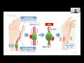 自宅でできる上半身のストレッチや腱鞘炎の予防対策【県民健康づくりセミナー】