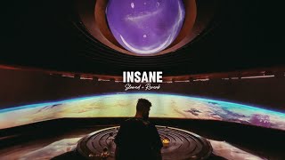 Insane ( Slowed + Reverb ) - AP Dhillon | Gurinder Gill