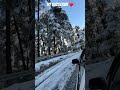 patnitop fresh snowfall….. shortvideo shorts punjabi