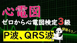 ゼロから心電図検定3級　【P波、QRS波】【波形の高さ、幅、順序】【不整脈のイメージ】