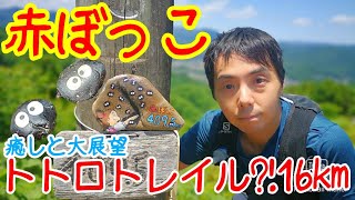 【青梅】まっくろくろすけで有名な赤ぼっこへ青梅駅からグルッと一周。山頂からの大展望、走れるトレランコースに大興奮。