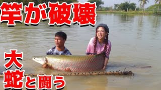 竿を破壊してしまう怪魚ピラルクと闘う!! タイ女一人旅 #4    #怪魚ハンター　＃釣り ＃釣りガール