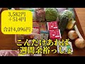 転職が予想以上に金かかる。日頃の食費はとことん節約していくわよ