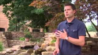 For Arts Sake-Hans Habeger