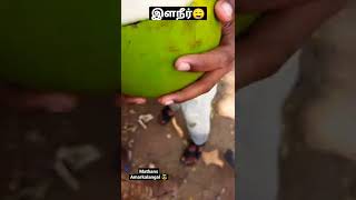 🍐🤤 செம தாகம் 🥴 இத குடிச்சப்றம் தான் தெளிவாச்சி 😎 Mathans Amarkalangal #shorts