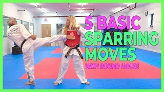 5 Basic Sparring Moves with Round House (4K)