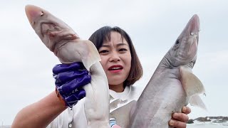 Xiaozhang saw two sharks on the beach ! What happened ?