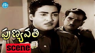 Punyavathi Movie Scenes - NTR At Pandari Bai's House | Sobhan Babu | Krishna Kumari | S V Ranga Rao