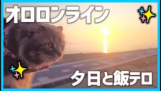 猫とオロロンラインをドライブ車中泊　留萌の絶品海鮮丼と、小平の夕日タイムラプス　留萌・北竜車中泊Part1