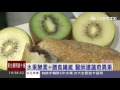 端午太放「粽」　小心腸胃問題找麻煩│三立新聞台