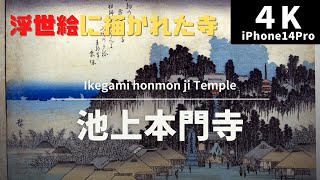 【4K 街散策】池上本門寺：歌川広重 浮世絵に描かれた寺 - Ikegami honmonji Temple