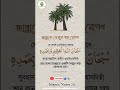 জান্নাতে খেজুর গাছ রোপন। islamicnotes24 islamicvideo islamic shorts