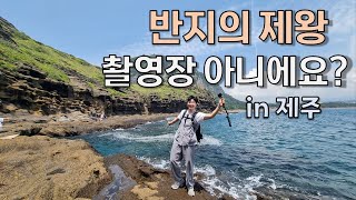 이국적인 풍경의 여행지는 황홀했다 - 제주 여행기(3)