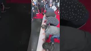 Oscars red carpet rolled out