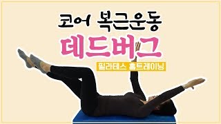 허리통증없는 코어복근운동! 하루 3분 데드버그의 놀라운 효과