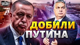 Эрдоган добил Путина. Орбан вытер ноги о Россию. Союзники Кремля переметнулись