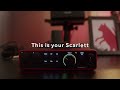 introducing auto gain and clip safe scarlett 4th gen