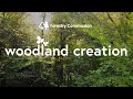 Woodland Creation - tree visualisation