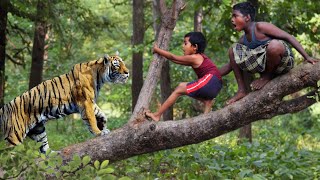 royal bengal tiger attack | tiger attack man in the forest, tiger attack in jungle