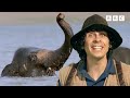 Andy and the Asian Elephant | Safari Adventures | Andy's Amazing Adventures