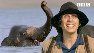 Andy and the Asian Elephant | Safari Adventures | Andy's Amazing Adventures